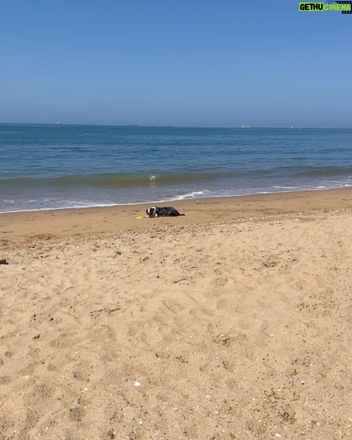 Teresa Pérez Instagram - Añoro fuertemente tirarle el frisbee al Fanty, el perro de mi concuñao. También añoro Huelva, la playa y a mi familia🥹 Como podréis ver me estoy dando un descanso muy necesario para volver más fuerte que nunca. No obstante estamos trabajando en la sombra 😃 Poquito a poco os iré contando porque este año van a pasar cositas nuevas 🙈 Me apetece volver a agradecer a tod@s los que estáis ahí siempre 🥹❤️