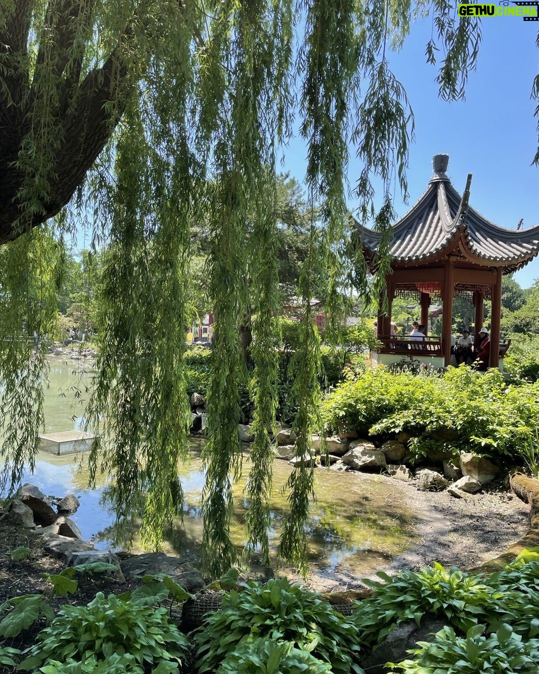 Teryl Rothery Instagram - Just a snippet of the beautiful botanical gardens in Montreal, Quebec 💕