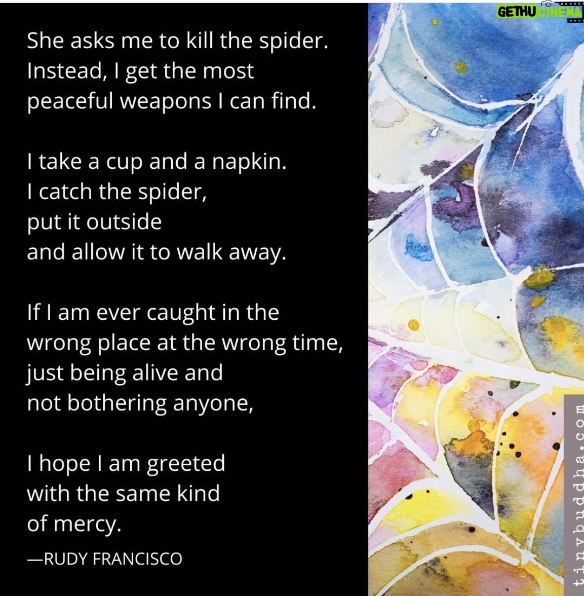 Teryl Rothery Instagram - Saw this today. When my daughter was little she would always scream out…”Mom, come quick and kill this spider!!!!!” And I would always take a glass, a napkin, and put it outside. She of course would continue to scream. But now? Guess who saves the spiders? ❤️