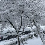 Teryl Rothery Instagram - Soooooo, this is Vancouver. Not something we usually see. 😳 How is it where you are?🥶