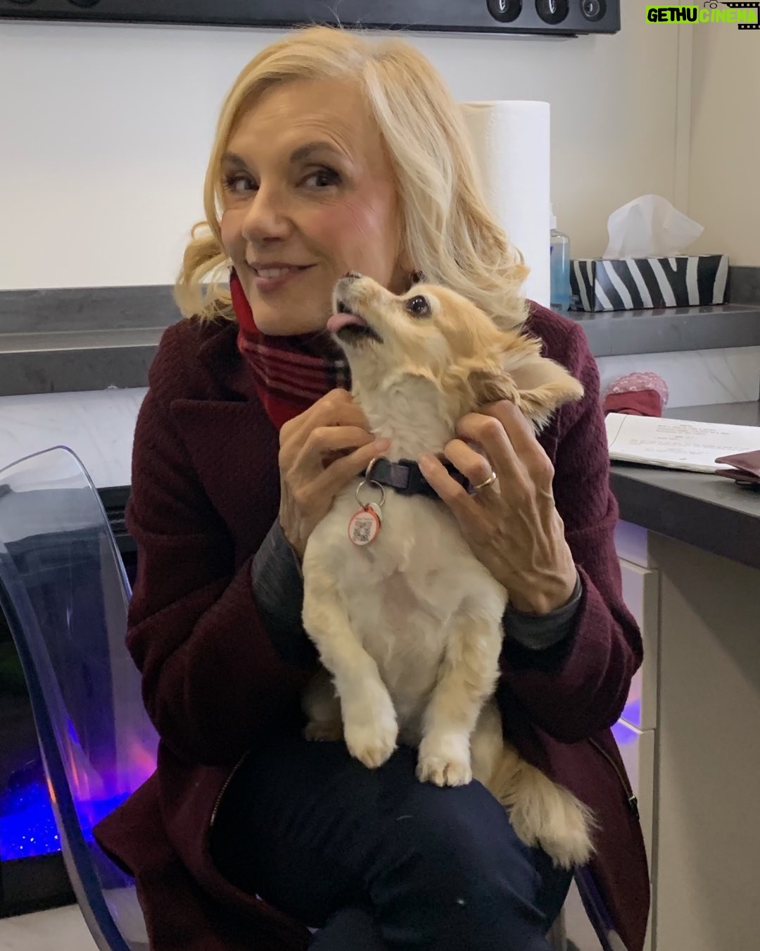 Teryl Rothery - 1.8K Likes - Last minute “bring dog to set trailer day”. Dog sitter fell through. One very happy dog. 😃🐾😍