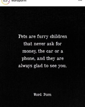 Teryl Rothery Instagram - ❤️❤️❤️🐾