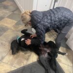 Teryl Rothery Instagram – My favorite fur baby next to my own. 💕❤️🐾
The bond between humans and animals is pure magic. This is Gus. ❤️
#joy #unconditionallove #happyplace
🐾❤️🐾❤️
