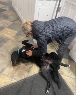 Teryl Rothery Instagram - My favorite fur baby next to my own. 💕❤️🐾

The bond between humans and animals is pure magic. This is Gus. ❤️

#joy #unconditionallove #happyplace
🐾❤️🐾❤️