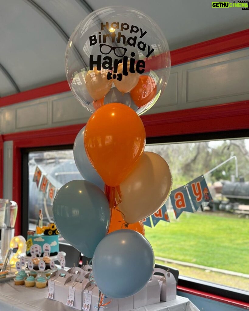 Tetona Jackson Instagram - Yesterday was a special one. Harlie’s Blippi Birthday Bash! There were train rides, arts & crafts, lots of running, and dessert for days!