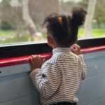 Tetona Jackson Instagram - Yesterday was a special one. Harlie’s Blippi Birthday Bash! There were train rides, arts & crafts, lots of running, and dessert for days!