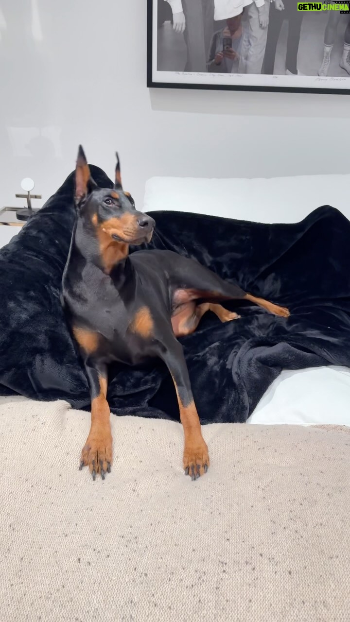Thalía Instagram - Ella quiere la atención las 24 horas del día! She’s obsessed with attention