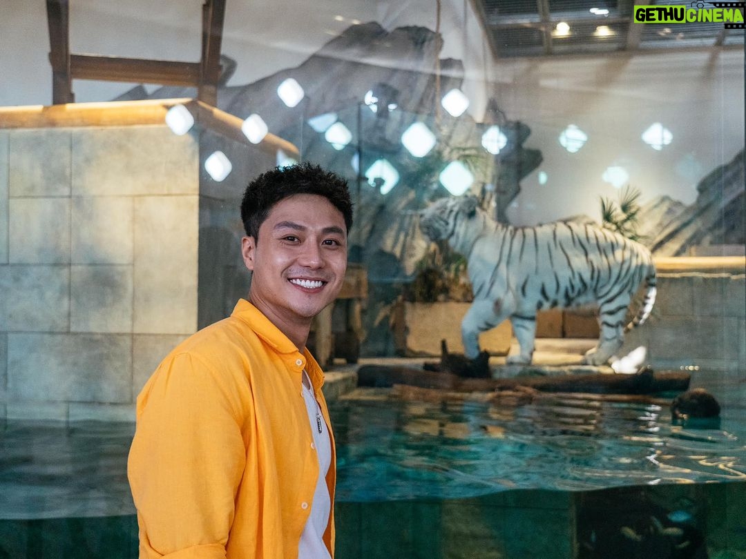 Thanh Sơn Instagram - Bật ngay VTV9 và cùng theo dõi tập 1 của chương trình "Phiêu lưu cùng Guliver" mùa 4 nào cả nhà mình ơiii !!!