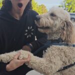 Thiago Vernal Instagram - ¡Soy feliz, feliz, feliz! Ahora camino por las calles contento y bailando con mi música favorita y mis Buds2 Pro, porque son resistentes a salpicaduras. ¿increíble no? Pruébalos tú también y disfruta mucho más de tu música. #TeamGalaxy #Buds2Pro #Publicidad