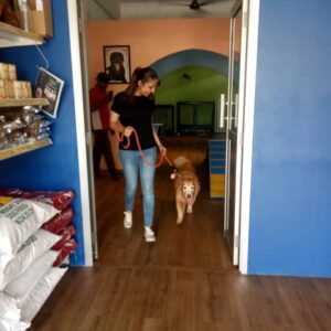 Thivya Naidu Instagram - My first training session with @foxxyshrubby @snowe.y for Ramarajan 
 It was not easy because I don't own a pet.. 
I wouldn't have done it without my trainers @braveheartk9
@hiridas_suberminam 
@jhangri_official_page
Special thanks to @nanthini61 @kabilanplondran @astroulagam 

Don't forget to watch Ramarajan  today on Astro Vinmeen  231 at 9pm!