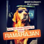 Thivya Naidu Instagram - Today onwards !!! MONDAY -FRIDAY 9pm Astro Vinmeen CH 231 Get ready for a fun filled fur boy series!! 2nd Nov onwards.... @jhangri_official_page @nanthini61 presents A @kabilanplondran series @muralikrishnan_munian visuals @shameshan musical @iamrockettt cuts Starring @thivya_naidu @vicran.elanggoven @puvanish9 @baby_koba @datogeethanjali_g @akhs.ranair @foxxyshrubby @ddavidanthonyy1 @actorsasi @alvin.martin @hiridas_suberminam suria @saha_the_champ Cast stylist :@pramilla_d2d Wardrobe stylist: @adrianjacobsofficial MUAH: @anbarasanvarathan Sound :@dev.algebrafilms Tech Team : @iammahen.28 @samuelsammy28 @thevandran_theva @louisdamian32 BTS :@thirenjr Art department:@amutan02 Pm team: @thesuganeswaran @thamil03 Assistant directors :@puvanish9 @navanithen_ravi @_unrealistic_dreamer @astroulagam