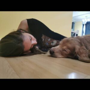 Thivya Naidu Instagram - I have been blessed that "Ramarajan" @foxxyshrubby have been a part of my life . One unique and special, leaving me with everlasting memories. During my emotional scenes he offered his love without judgment.. he lays on my lap.. On my feet.. Yes one cute adorable one.. It was tough at first to create the bond on screen but as days goes by and being with u for 30 days in that same house was a beautiful memory..
Evening walks 
Getting ur food done 
Pampering u
The goodnights... ❤

Thanks @snowe.y for being there too.. ❤
We will meet again, never to be apart. Until then, thank you, Foxxy, @snowe.y for everything.. I love you more than you will ever know..always ❤
But what we should all remember is that each of us who has loved, and been loved, by an animal can't fail to feel blessed..

Special thanks to @hiridas_suberminam 
@clawspetpark
@braveheartk9 
@kabilanplondran 
@nanthini61 
@astroulagam 
@jhangri_official_page

Don't forget to watch Ramarajan premiering 2nd Nov onwards 9pm on Astro Vinmeen