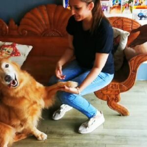 Thivya Naidu Instagram - My first training session with @foxxyshrubby @snowe.y for Ramarajan 
 It was not easy because I don't own a pet.. 
I wouldn't have done it without my trainers @braveheartk9
@hiridas_suberminam 
@jhangri_official_page
Special thanks to @nanthini61 @kabilanplondran @astroulagam 

Don't forget to watch Ramarajan  today on Astro Vinmeen  231 at 9pm!