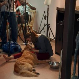 Thivya Naidu Instagram - I have been blessed that "Ramarajan" @foxxyshrubby have been a part of my life . One unique and special, leaving me with everlasting memories. During my emotional scenes he offered his love without judgment.. he lays on my lap.. On my feet.. Yes one cute adorable one.. It was tough at first to create the bond on screen but as days goes by and being with u for 30 days in that same house was a beautiful memory..
Evening walks 
Getting ur food done 
Pampering u
The goodnights... ❤

Thanks @snowe.y for being there too.. ❤
We will meet again, never to be apart. Until then, thank you, Foxxy, @snowe.y for everything.. I love you more than you will ever know..always ❤
But what we should all remember is that each of us who has loved, and been loved, by an animal can't fail to feel blessed..

Special thanks to @hiridas_suberminam 
@clawspetpark
@braveheartk9 
@kabilanplondran 
@nanthini61 
@astroulagam 
@jhangri_official_page

Don't forget to watch Ramarajan premiering 2nd Nov onwards 9pm on Astro Vinmeen