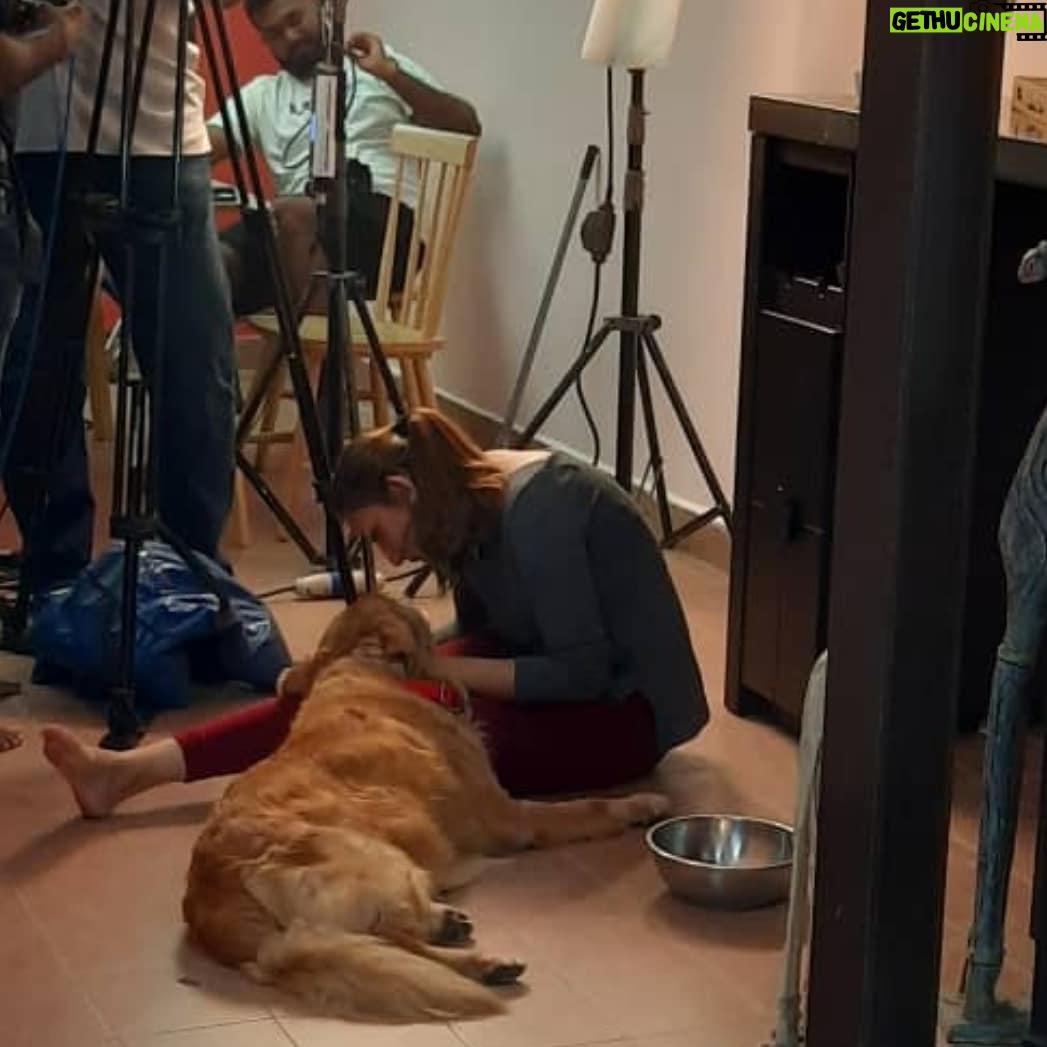 Thivya Naidu - 1.4K Likes - I have been blessed that "Ramarajan" @foxxyshrubby have been a part of my life . One unique and special, leaving me with everlasting memories. During my emotional scenes he offered his love without judgment.. he lays on my lap.. On my feet.. Yes one cute adorable one.. It was tough at first to create the bond on screen but as days goes by and being with u for 30 days in that same house was a beautiful memory..
Evening walks
Getting ur food done
Pampering u
The goodnights... ❤
Thanks @snowe.y for being there too.. ❤
We will meet again, never to be apart. Until then, thank you, Foxxy, @snowe.y for everything.. I love you more than you will ever know..always ❤
But what we should all remember is that each of us who has loved, and been loved, by an animal can't fail to feel blessed..
Special thanks to @hiridas_suberminam
@clawspetpark
@braveheartk9
@kabilanplondran
@nanthini61
@astroulagam
@jhangri_official_page
Don't forget to watch Ramarajan premiering 2nd Nov onwards 9pm on Astro Vinmeen