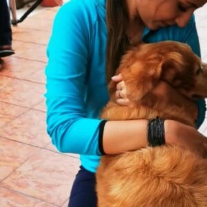 Thivya Naidu Instagram - I have been blessed that "Ramarajan" @foxxyshrubby have been a part of my life . One unique and special, leaving me with everlasting memories. During my emotional scenes he offered his love without judgment.. he lays on my lap.. On my feet.. Yes one cute adorable one.. It was tough at first to create the bond on screen but as days goes by and being with u for 30 days in that same house was a beautiful memory..
Evening walks 
Getting ur food done 
Pampering u
The goodnights... ❤

Thanks @snowe.y for being there too.. ❤
We will meet again, never to be apart. Until then, thank you, Foxxy, @snowe.y for everything.. I love you more than you will ever know..always ❤
But what we should all remember is that each of us who has loved, and been loved, by an animal can't fail to feel blessed..

Special thanks to @hiridas_suberminam 
@clawspetpark
@braveheartk9 
@kabilanplondran 
@nanthini61 
@astroulagam 
@jhangri_official_page

Don't forget to watch Ramarajan premiering 2nd Nov onwards 9pm on Astro Vinmeen