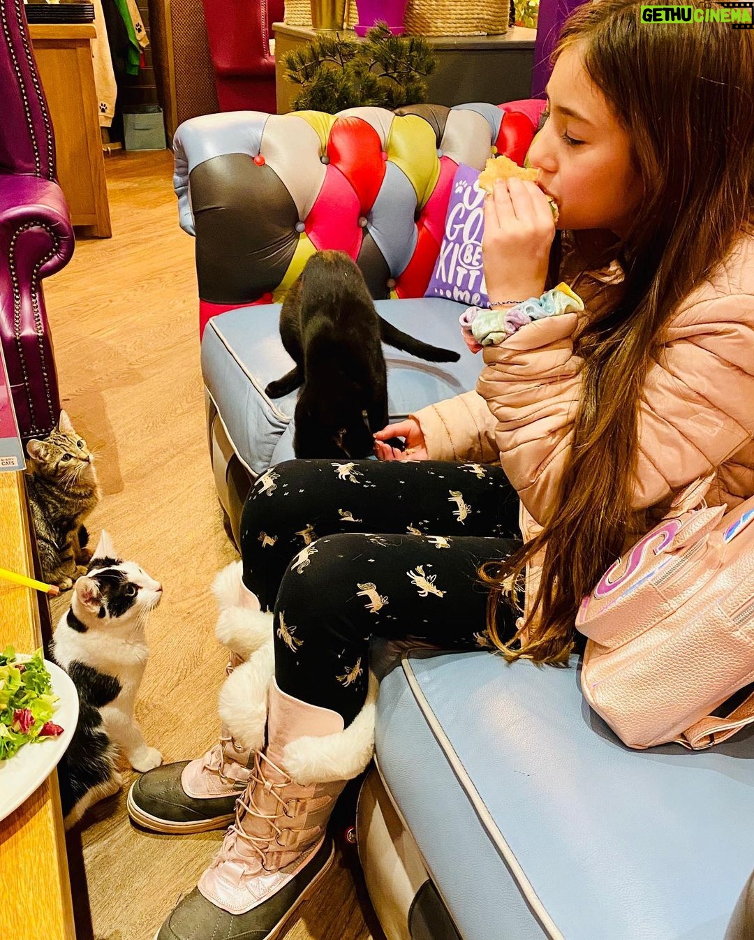 Thomas Beatie - 795 Likes - A little girl’s paradise: Kitty Cafe! She was irresistable with the perfume of her tuna sandwich! 😍😺☕️🥪 Le paradis d'une petite fille: Kitty Cafe! Elle était irrésistible avec le parfum de son sandwich au thon!
