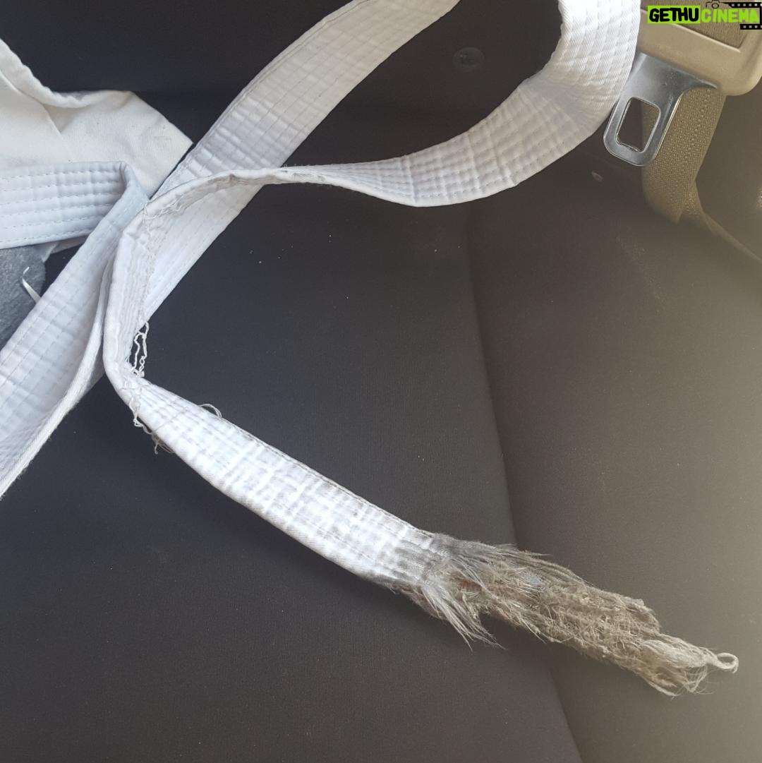 Thomas Beatie - 339 Likes - Donc, je conduisais de l'Arizona à la Californie et j'ai entendu quelque chose claquer contre le côté de ma voiture. Les enfants, ce n'est pas ainsi que vous passez d'une ceinture blanche de taekwondo à une ceinture noire! 🥋😂 Driving from AZ to CA, I heard something flapping. Kids, this is not how you go from a taekwondo white belt to a black belt.