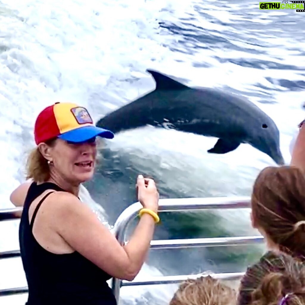 Thomas Beatie Instagram - Dolphins were following our boat! #AmbersDream ❤️🐬 Les dauphins suivaient notre bateau!