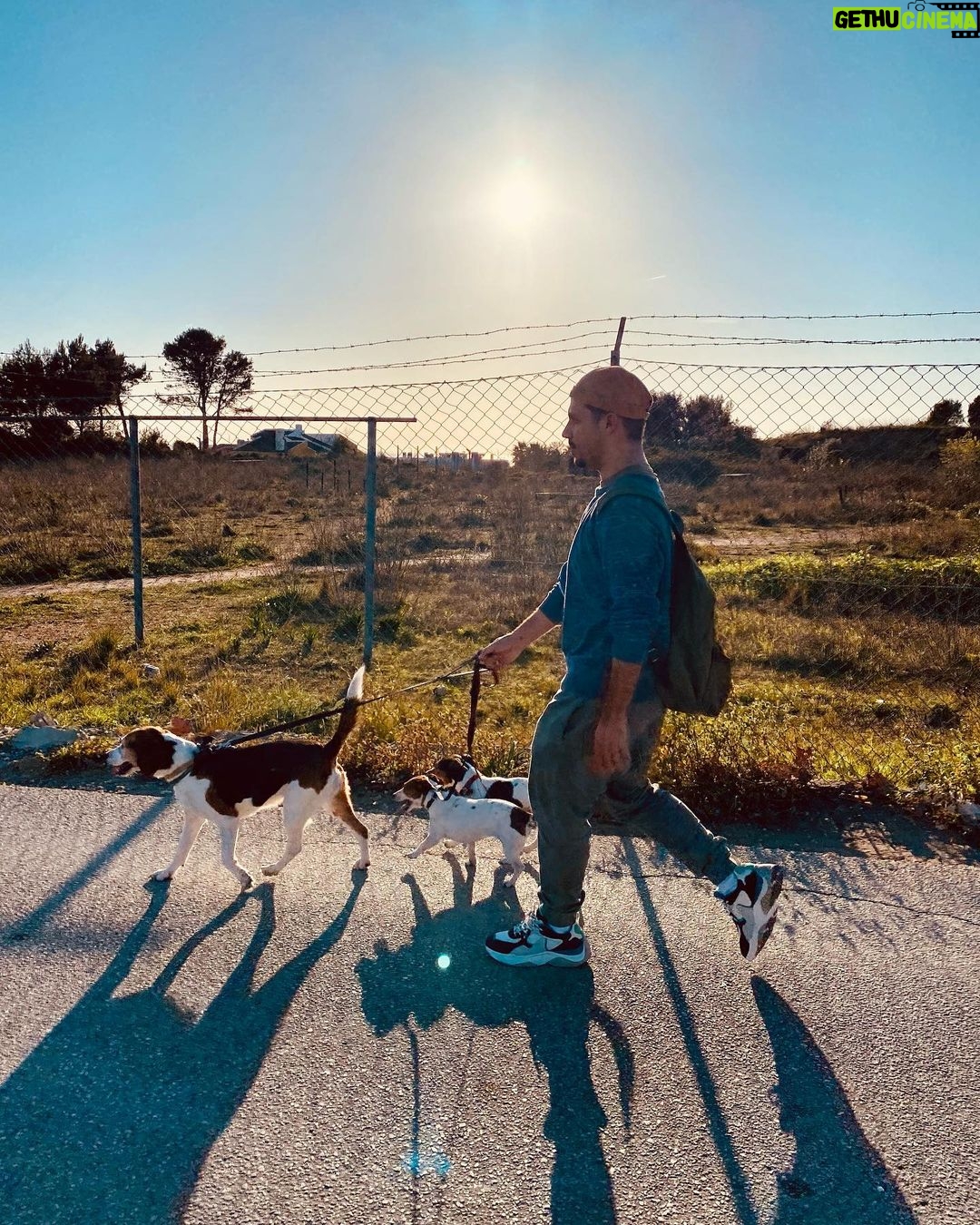 Tiago Careto Instagram - O meu dia: 🏃🏽♂️🐶💩🤮🏃🏽♂️ Parede, Lisboa, Portugal