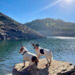 Tiago Careto Instagram – Mais uma tarde incrível no paraíso 🌾🌅

#barragem #barragemdocabril #pedrogaogrande #portugal #jackrussell #beagle Barragem Do Cabril