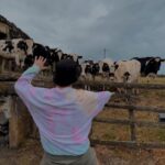 Tiago Careto Instagram – As vacas são sempre um público difícil, mas também merecem ver espectáculos 🐮🤣 Ilha Terceira, Açores