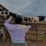 Tiago Careto Instagram - As vacas são sempre um público difícil, mas também merecem ver espectáculos 🐮🤣 Ilha Terceira, Açores