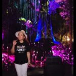 Tiara Jacquelina Instagram - Here's part 2 of our special pre-opening preview of @dreamforest.langkawi for YB @fahmifadzil and 50 other specially invited guests a few days ago. 4 years in the making since 2019! I can't wait to share this with all of you when we finally open 16th JUNE 2023, wooohoooooooo 😍😍😍 The #DreamForestLangkawi experience is like NOTHING I've produced before, but I'd say I've given it the best of all my experience in film, theatre, storytelling, live events and a wild imagination. Don't #FOMO okay... get your tickets now at www.dreamforestlangkawi.com.my and I'll see you on opening weekend 💜 Kampung Buku Langkawi