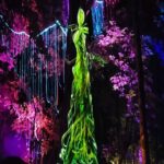 Tiara Jacquelina Instagram - Witnessed the opening of Tiara's @dreamforest.langkawi last weekend - and as usual, her work is always spectacular. It'll be worth a visit to this unique immersive night attraction when you're next in #Langkawi. You'll enjoy experiencing the stories and folklore of Langkawi and #Kedah, told through beautiful lights and projection mapping! Definitely Instagram worthy, and a haven for content creators! #DreamForestLangkawi #EnfinitiMakesMagic Dream Forest