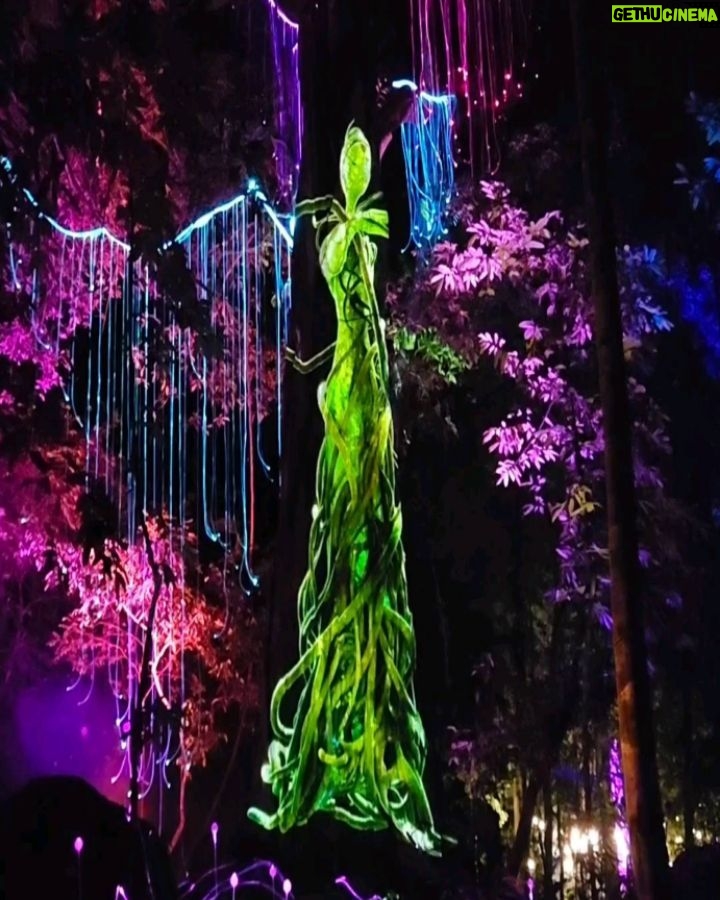 Tiara Jacquelina Instagram - Witnessed the opening of Tiara's @dreamforest.langkawi last weekend - and as usual, her work is always spectacular. It'll be worth a visit to this unique immersive night attraction when you're next in #Langkawi. You'll enjoy experiencing the stories and folklore of Langkawi and #Kedah, told through beautiful lights and projection mapping! Definitely Instagram worthy, and a haven for content creators! #DreamForestLangkawi #EnfinitiMakesMagic Dream Forest