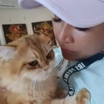 Tiara Jacquelina Instagram – This is Tangerine, the most manja of the @tjsfurbies. Son of Chestnut, grandson of Dusty, great grandson of Pebble. Isn’t he just the handsomest little boy? #TJsFurbies #TJsCatTangerine #britishshorthair #catmom