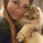 Tiara Jacquelina Instagram - Who else has a cat named Simba? Kita geng 🙌🏼 well, this affectionate and gentle fella is OUR Simba. He's the second born of Dusty's 4 babies, and the one that gives us the least trouble. This is Simba saying goodnight to everyone 🐾😻
