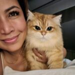 Tiara Jacquelina Instagram - My handsome, adorable baby Tangerine turned 1 today 😍 A year ago today, we returned from our anniversary celebration in Bangkok to discover that our cat Baby had given birth, a little earlier than we expected. She had 3 babies - Tangerine, his sister Oreo and another who sadly didn't make it 😪. Tangerine and Oreo are the youngest of the @tjsfurbies Tangerine is so very affectionate, very much a Mama's boy and not ashamed to show it.