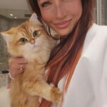 Tiara Jacquelina Instagram - I keep telling my husband, Tangerine speaks - he has full on conversations with me! Goodnight from both of us, sweet dreams 💜 #TJsCatTangerine #MyCat #CatMomLife #CatMom #catlover #britishlonghair #TJsFurbies