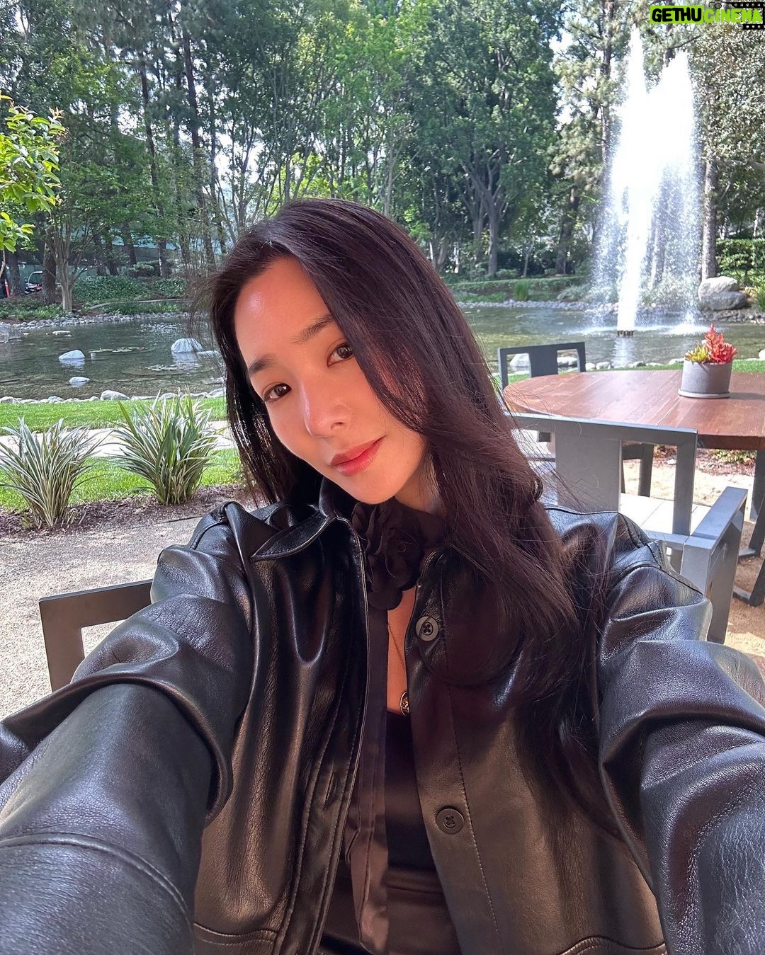 Tiffany Young Instagram - the week in : stairs smoothies and sushi