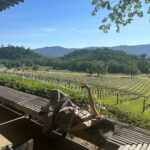 Tiffany Young Instagram - ⛰️🍷✨