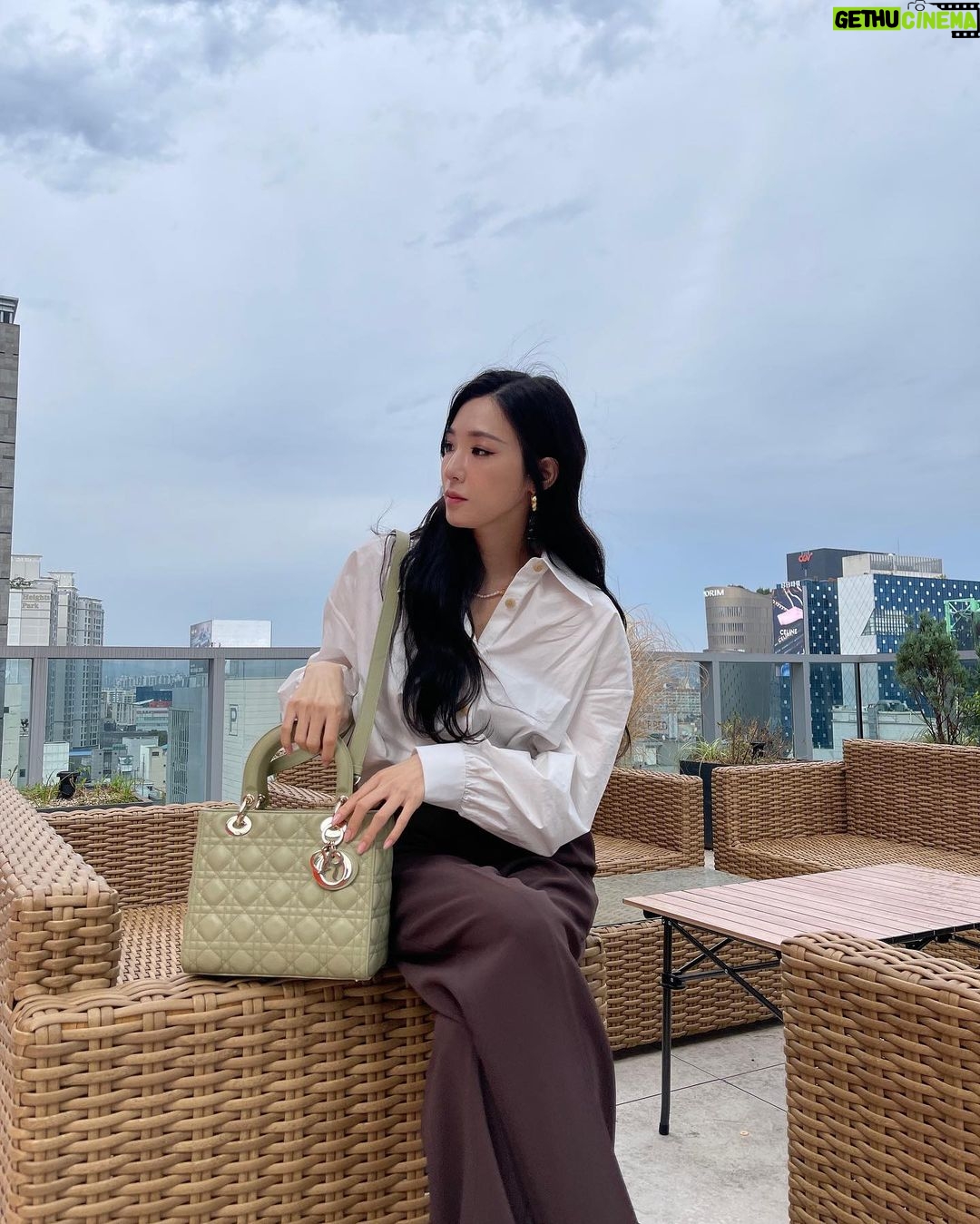 Tiffany Young Instagram - πΈπ« @dior #LadyDior #Dior