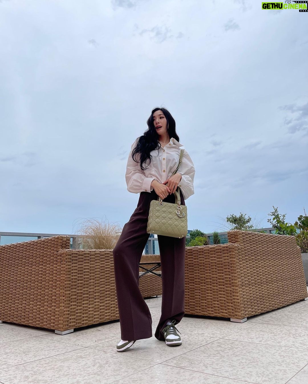 Tiffany Young Instagram - πΈπ« @dior #LadyDior #Dior