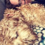 Tim Minchin Instagram - Pillow