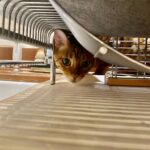 Tim Roth Instagram - Assistant Dishwasher.