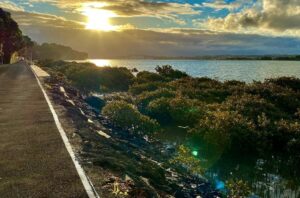 Tim Roth Instagram - One week left in this beautiful place.
♥️New Zealand.