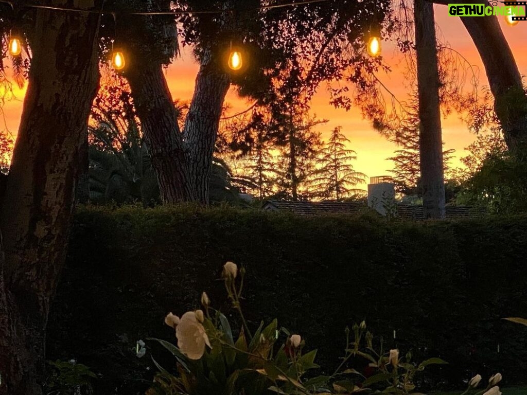 Tim Roth Instagram - Also. California evening. Beautiful in a crazy time.