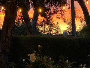 Tim Roth Instagram - Also.
California evening.
Beautiful in a crazy time.