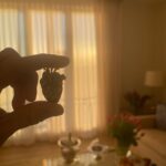 Timothée Chalamet Instagram -