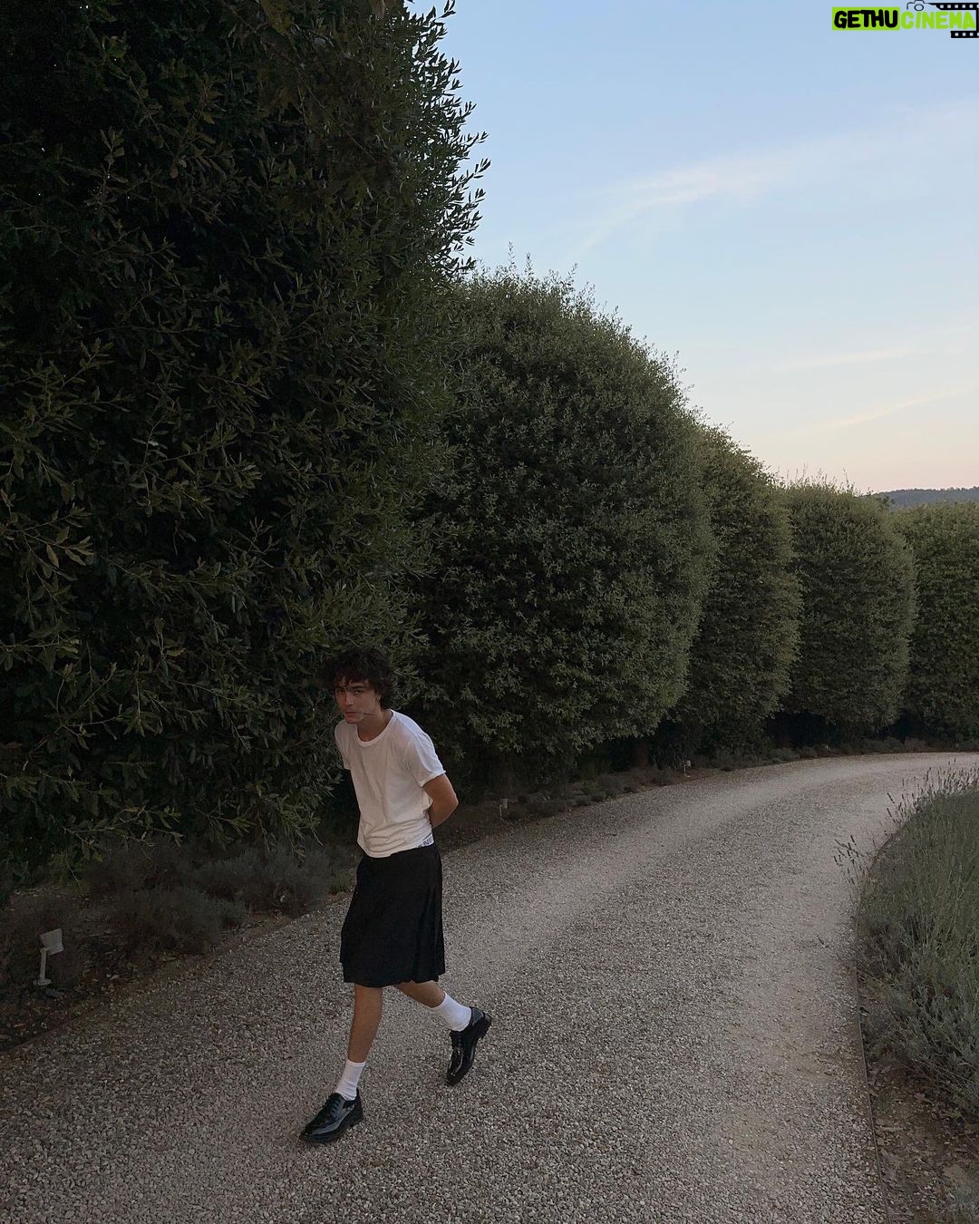 Timothée Chalamet - 3.6 Million Likes - summer23!