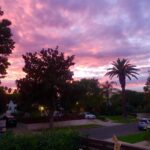 Timothy Omundson Instagram - #MadAboutMabel enjoys a nice sunset as much as the next person 💜🧡💓🩵 special thanks to @magslawslawson for her editorial assist!