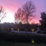 Timothy Omundson Instagram - Not a terrible sky to look at, this evening.