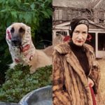 Timothy Simons Instagram – I knew I had seen my neighbors dog before.