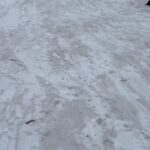 Timothy V. Murphy Instagram - What a fun weekend up in Wrightwood…took the wife and kids up tubing and sledding…I think they had fun😂😂😂…big shout out to the staff @mthighsnow particularly the lovely people at Yeti Snow Park and of course Robert and Danielle for the accommodation @robertmerrillstudio @daniburgio1111 …I think my favorite moment was driving back in the rain with all the family sound asleep in the car😍😍😍☃️☃️☃️ @caitlinamanley …oh,and a big thank you to @jonathanlouislewis for looking after my dog☘️☘️☘️😎😎😎
