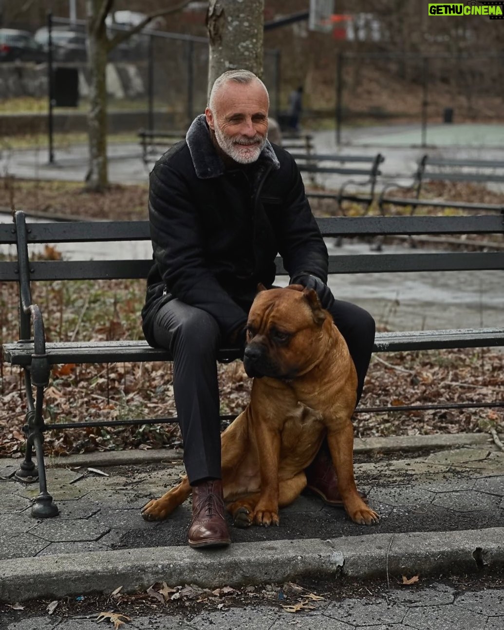 Timothy V. Murphy - 1.4K Likes - I miss my dog🥲🥲🥲…Murph and Jack!!! @lawandorderorganizedcrime @pacthecorso @chris_meloni @mkmalarkey @daniellemonetruitt @ainsleyseiger @gus.halper @brent_antonello @rickgonzalez